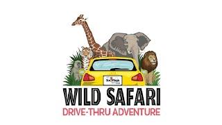 Wild Safari Drive Thru Adventure Full Tour - Jackson, New Jersey