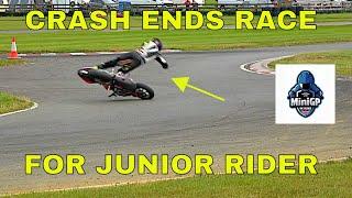 CRASH ENDS RACE for one Junior Rder! MiniGP 160/50 Race 2, Rd 6, British Minibikes Champs. 2024