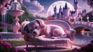 Sleep in 5 minutes, #Kids Songs by SV