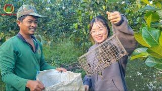 Lâu Ngày Trở Lại Đặt Bẫy, Gặp Ngay Bầy Cống Nhum Quá Khủng_Trúng Đậm| ỐcNhỏMiềnTây #25