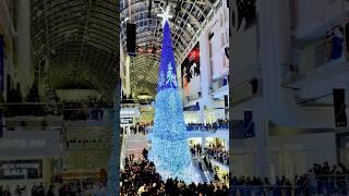 Tree Light And Snow Show@Toronto Eaton Centre