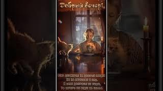 15 сентября 2022 г.