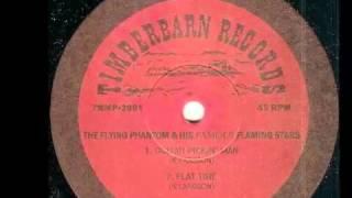 The Flying phantom & his Flaming stars - Don't Shake My Tree