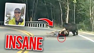 This Grizzly Bear Drags Colin Dowler Off His Bike And Starts Eating Him Alive