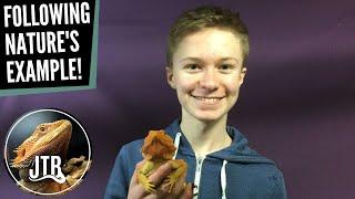 Following Nature's Example | Joseph Brabin - The Animals at Home Podcast