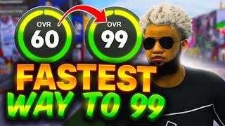 FASTEST WAY TO GET MAX BADGES AND 99 OVERALL IN 1 DAY IN 2K25!! MAX EVERY BUILD YOU MAKE IN A DAY!!