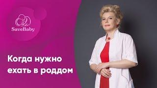 Когда нужно ехать в роддом? Начало родов. Елена Никологорская. Акушер-гинеколог. СПб
