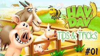 Tips & Tricks To Gaining XP And Coins // Hay Day #01