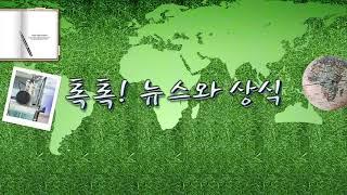 [톡톡] 정인이 떠난 지 1년, '입양특례법 개정안' 내용은? 10.13(수)톡톡! 뉴스와 상식/ YTN 라디오