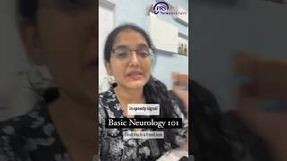Neurology Quiz! #neurology #quiztime