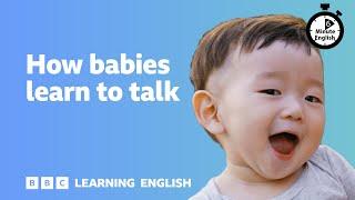 How babies learn to talk ⏲️ 6 Minute English