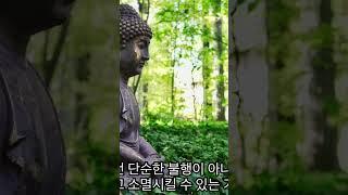 왜 나만 이렇게 괴로운 걸까? #부처님말씀 #불교철학 #karma #buddha #buddhism #불교철학 #불교 #불교교리 #업보 #업식 #마음공부 #불안 #괴로움 #분노