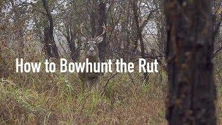 How to Bowhunt the Rut