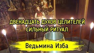 ДВЕНАДЦАТЬ ДУХОВ ЦЕЛИТЕЛЕЙ. СИЛЬНЫЙ РИТУАЛ. ДЛЯ ВСЕХ. ВЕДЬМИНА ИЗБА ▶️ ИНГА ХОСРОЕВА