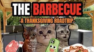 Cat MEMES: THE BARBECUE