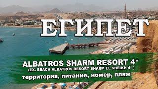 ЕГИПЕТ 2024| ALBATROS SHARM RESORT 4*. Территория, номера, питание, пляж