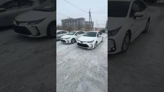 АВТОМОБИЛИ ИЗ КИТАЯ , ЛЕВЫЙ РУЛЬ ! #автоизяпонии #автоподзаказ #toyotacorolla #corolla #toyota