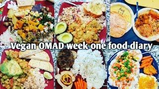 OMAD meal Diary week one