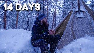 2 Weeks of Solo Camping in The Forest: From December to March | 3 Hour Relaxing