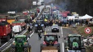 Fermierii olandezi nu mai stiu ce sa faca cu balegarul:Trebuie sa platim din ce in ce mai mult