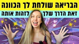 החלומות והתשוקות שלך נועדו להתגשם (תפסיקו לוותר על עצמכם!)