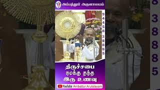 திருச்சபை நமக்கு தந்த இரு உணவு | Fr. Devaraj - Dindugal Diocese | Arulalayam 11.10.24