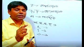 র,ড়,ঢ়,ল,শ,ষ,স,হ, ৎ, ং, ঃ, ঁ এই বর্ণগুলোর উচ্চারণ স্থান ও নামকরণের রহস্য, letter, sound, alphabet,