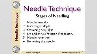 Basic Acupuncture Needle Insertion in Traditional Chinese Medicine