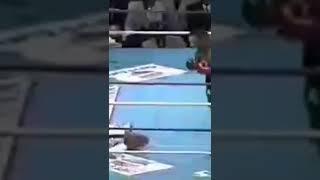 mike tyson vs henry tillman brutal knockout 