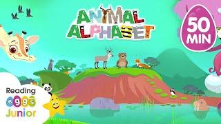 Animal Alphabet   Learning Letters | English Alphabet