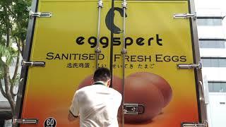 A Leading Egg Distributor and Egg Processor