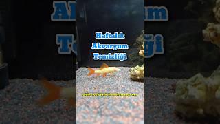 Haftalık Akvaryum Temizliği 