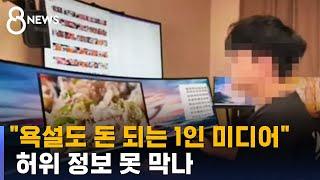 "욕설도 돈이 되는 1인 미디어"…허위 정보 못 막나 / SBS