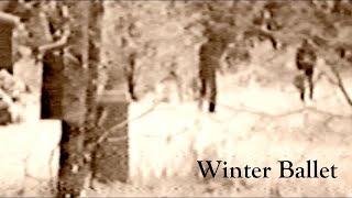 Andreas Brink - Winter Ballet
