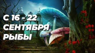 ️РЫБЫ. ️С 16 - 22 сентября 2024.️