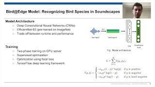 #47# Bird@Edge: Bird Species Recognition at the Edge