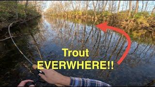 Fishing for Ridiculously Aggressive Brown Trout in The Mad River!! (Ohio)