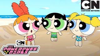 Beach Fight | New Powerpuff Girls Compilation | Cartoon Network