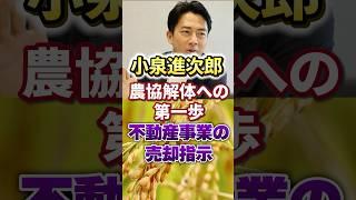 [Shinjiro Koizumi | Koizumi rice] Agricultural cooperative dissolution | Real estate business sal...