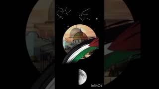 ٨ مايو ٢٠٢٥