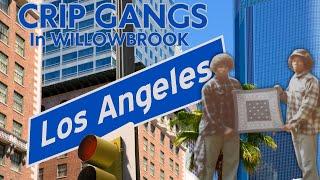 Willowbrook Los Angeles: Inside the Crip Gangs' Territory