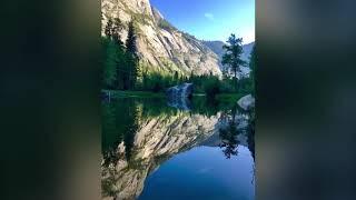 Fish Camp & Yosemite National Park