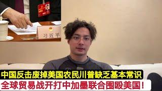 全球贸易战开始实施！中国废掉美国农民！废掉因美纳7%中国市场份额！中国加拿大墨西哥围殴美国！川普缺乏基本常识，既要贸易顺差又要美元霸权！这只大炮筒子过高估计美国的实力，又低估美国的结构性问题！