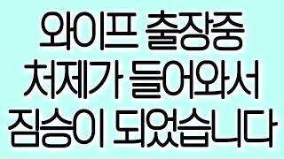 와이프 출장중 처제가 들어와서 짐승이 되었습니다 실화사연 실제사연 드라마사연 라디오사연 사연읽어주는여자