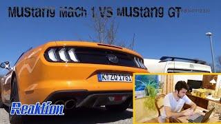 Mustang Mach1 vs Mustang GT 2020 !! Alteisen vs Moderne ! Autonotizen.de / QUERTREIBER Reaktion