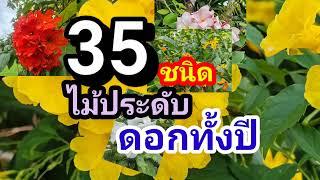 ไม้​ดอกออกตลอดทั้งปี35ชนิด