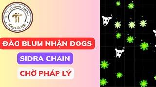 Sidra Chain Chưa Mở Giao Dịch Bất Kỳ Nền Tảng Nào - Khai Thác Blum Nhận DOGS l Blog Của Hải