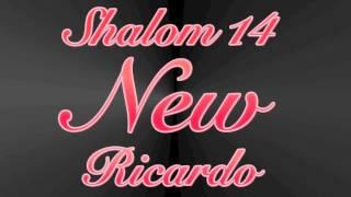 Ricardo Kwiek (SHALOM 14)  - I Will Never let You Feel Alone