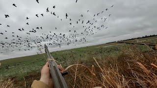 We Battled MUD on this Epic Goose Hunt!!!