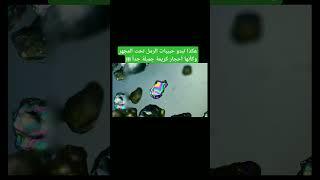 هل شاهدت الرمل تحت المجهر من قبل؟ #beats